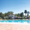 Piscina con ombrelloni e palme.