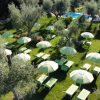Giardino con ombrelloni e lettini verdi tra ulivi e piscina sullo sfondo.