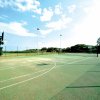 Campo da basket all'aperto su prato.
