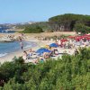 Spiaggia affollata con ombrelloni colorati e vegetazione verde.