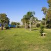 Giardino verde con palme e vegetazione, e vista parziale sul mare.