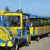 Trenino turistico giallo e blu con persona che saluta.