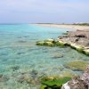 Scogliera con acque cristalline e alghe verdi sulla costa.
