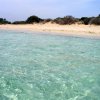 Acqua limpida e spiaggia con vegetazione bassa sullo sfondo.