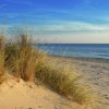 Dune di sabbia con erba marina e mare al tramonto.