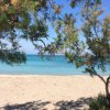 Spiaggia di sabbia bianca con mare blu, ombreggiata da alberi verdi.